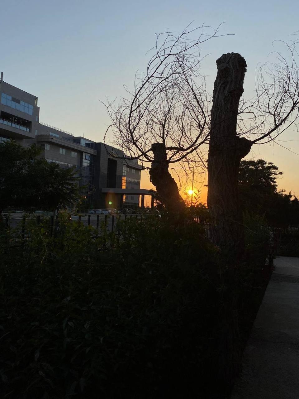 Mang'O Hostel 阿克套 外观 照片
